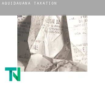 Aquidauana  taxation