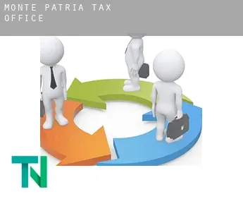 Monte Patria  tax office