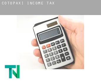 Cotopaxi  income tax
