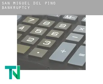 San Miguel del Pino  bankruptcy
