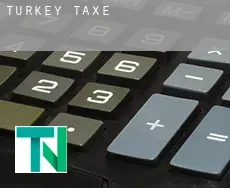 Turkey  taxes