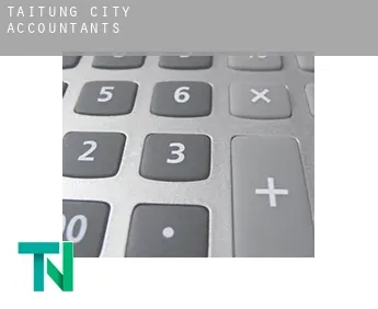 Taitung City  accountants