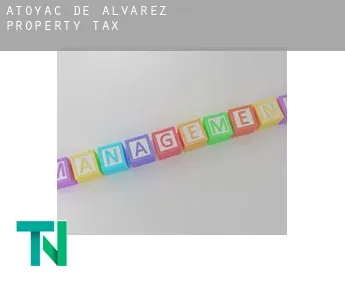 Atoyac de Alvarez  property tax