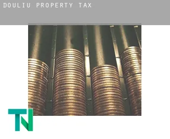 Douliu  property tax