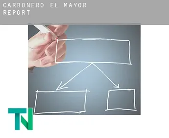 Carbonero el Mayor  report