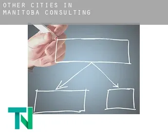 Other cities in Manitoba  consulting