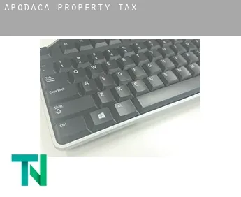 Apodaca  property tax