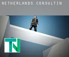 Netherlands  consulting