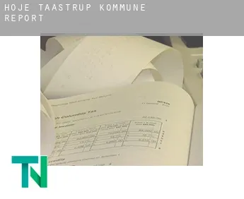 Høje-Taastrup Kommune  report