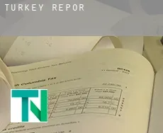 Turkey  report