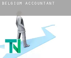 Belgium  accountants