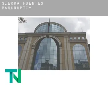 Sierra de Fuentes  bankruptcy