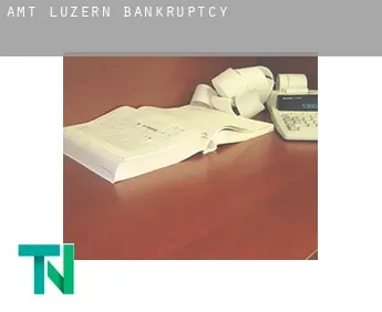 Amt Luzern  bankruptcy