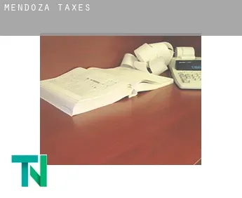Mendoza  taxes
