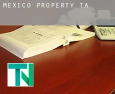 Mexico  property tax