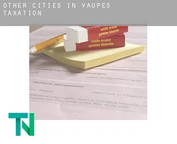 Other cities in Vaupes  taxation