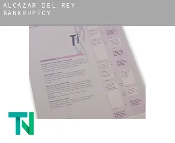 Alcázar del Rey  bankruptcy