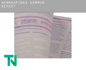 Norrköpings Kommun  report