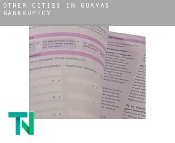 Other cities in Guayas  bankruptcy