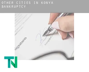 Other cities in Konya  bankruptcy