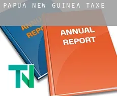 Papua New Guinea  taxes