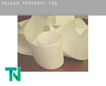 Halden  property tax